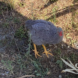 213F17EF 6CB5 4D85 BEC4 02E8FF1571FA