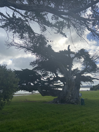 D86A09EC D81C 499B BAFB FFCA4C650630.jpg