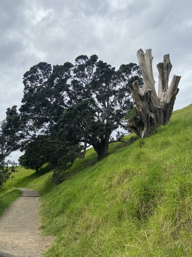 7688F7C4 4EA0 4672 9362 B709BDDE88BE.jpg