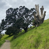 7688F7C4 4EA0 4672 9362 B709BDDE88BE