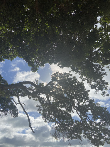 03C43B03 0301 4AE0 95BA 62B264A99095.jpg