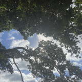 03C43B03 0301 4AE0 95BA 62B264A99095