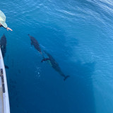 8E204027 4F8B 45B2 A03F 42812AAC0D7E