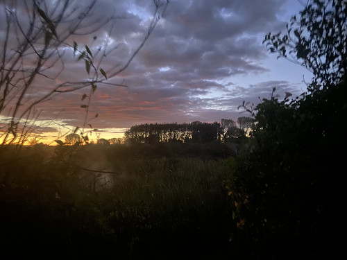 E502BC48 58E8 416B BE4E 839E0662D463.jpg