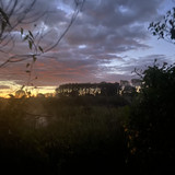 E502BC48 58E8 416B BE4E 839E0662D463