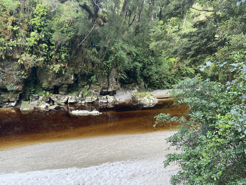 1D343DEC C81E 451C B1CE 614CB752E185.jpg