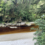 1D343DEC C81E 451C B1CE 614CB752E185