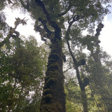 924E4F42 DD33 40A1 BC98 9417B124A8D6