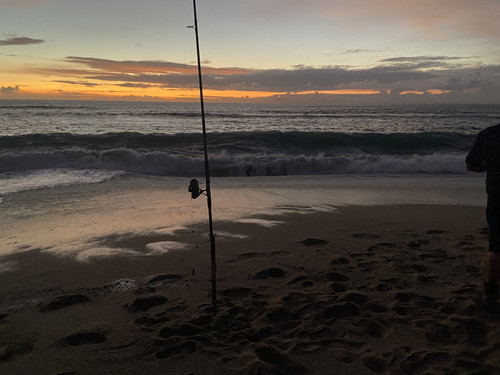 738D9210 F18A 4A0C 8DDD DCD1561D2B32.jpg