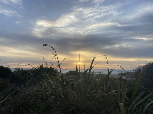 EF760614 FC5E 40E8 821A 98FB7268429B.jpg