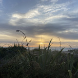 EF760614 FC5E 40E8 821A 98FB7268429B