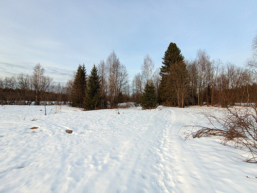 PXL 20230404 7.jpg