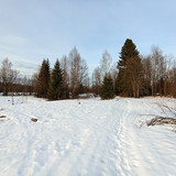 PXL 20230404 7