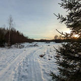PXL 20230404 3