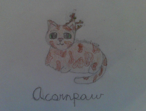 Acornpaw!.jpg