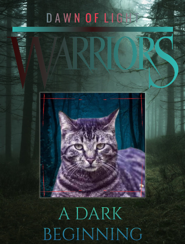 50111988053 1159732f52 b.png