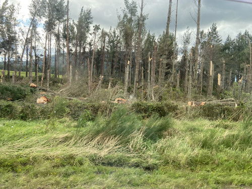 1F9A8EB5 0CEF 4A6F B526 E8E1EB15DE43.jpg