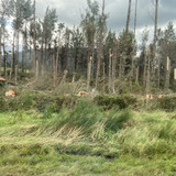 1F9A8EB5 0CEF 4A6F B526 E8E1EB15DE43