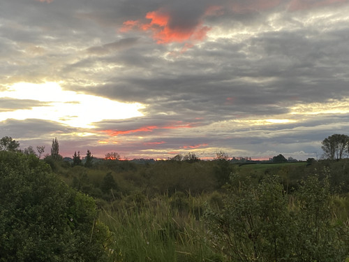 C3C0A528 DF3F 488C 8ECC 571723410FB8.jpg