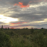 C3C0A528 DF3F 488C 8ECC 571723410FB8