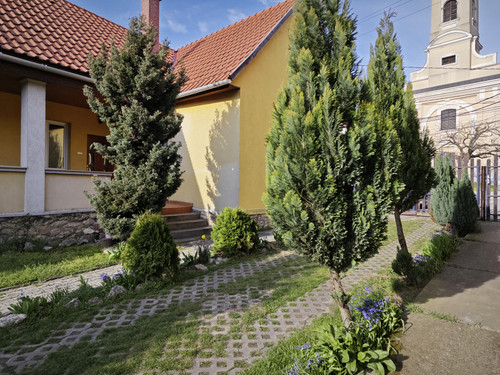 IMG 20230404 170124.jpg