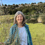 06A0D95E 11FE 4C55 BB5F B128030FC02C