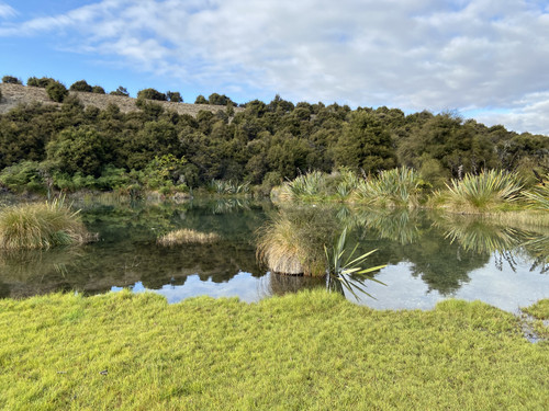 EA51CE22 6BB0 4AA1 8690 3D68EF98A485.jpg