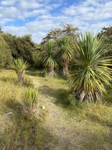 BF2F4EDE DEFA 41A3 A4CF 4ED29866ED1E.jpg