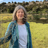 3C8F1F39 AF31 48FE A375 C726C892784C