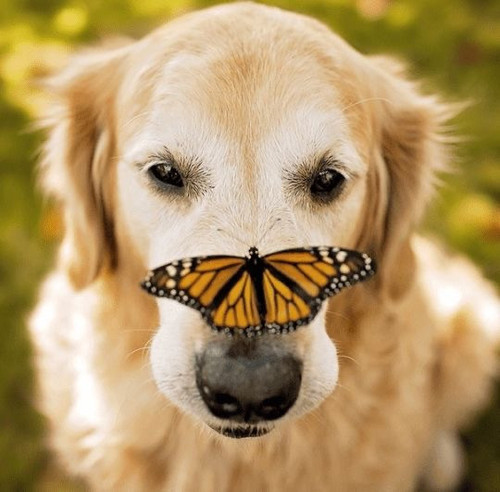 BD11970C 043C 4B05 B351 9D822E5A3793.jpg