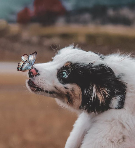 A87C6059 1409 4E46 B4E1 99487A7DDFC1.jpg