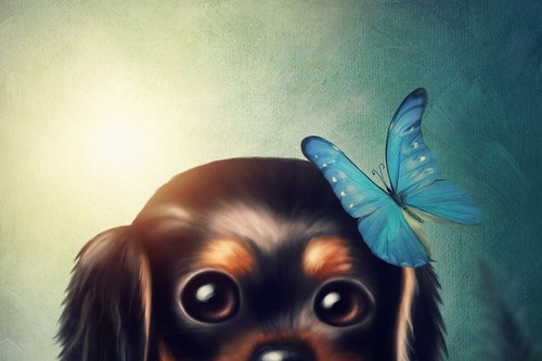 10DE461B 0E06 4C91 BDD3 E4420F73884F.jpg