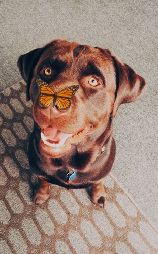 16A09558 EE88 47C0 B929 948F2BBF057E.jpg