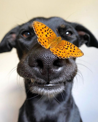 66F95017 54E2 478F 89D8 3FAFBB02080D.jpg