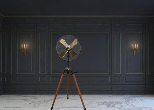 Tripod Pedestal Fan.jpg