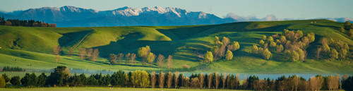 5dc1f1a97930b046a63276e1 Golden Wairarapa fields.jpg