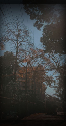 Snapchat 1405655549.jpg