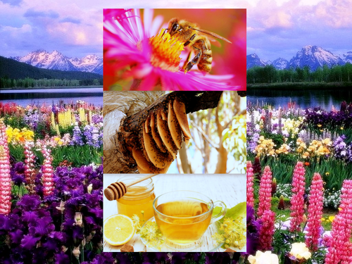 'Glorified is The Mighty Creator '.png