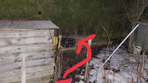 photo 2023 04 06 03 16 05.jpg