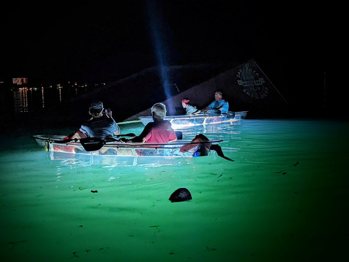 PXL 20230401 004559605~3.jpg