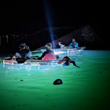 PXL 20230401 004559605~3