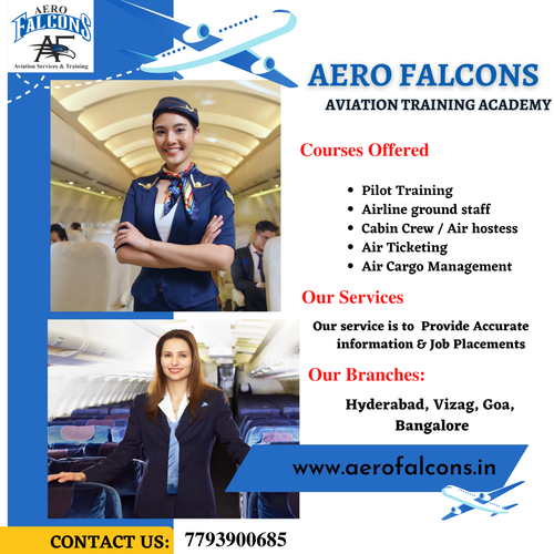Aero falcons.png