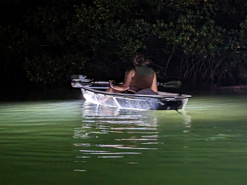 PXL 20230401 005653649.jpg