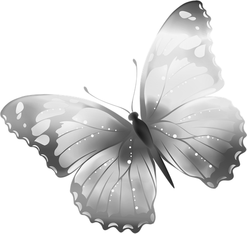 butterfly BW.png