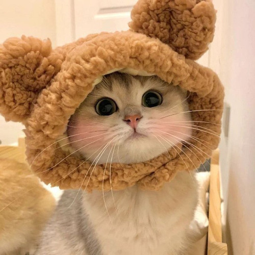 IMG 20230401 093523 462.jpg