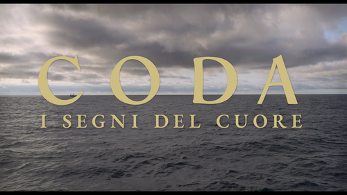 CODA 00.01.08.084 bd2.png