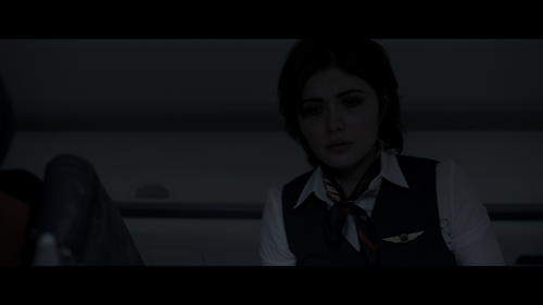 Plane.2023.UHD.BluRay.REMUX.2160p.HEVC.TrueHD7.1.Atmos HDS.mkv 20230406 213906.530.png