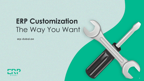 ERP Customization The Way You want.jpg