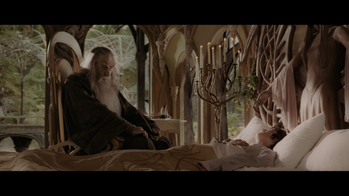 The.Lord.of.the.Rings.The.Fellowship.of.the.Ring.2001.Extended.Disc.1.TWN.UHD.Blu ray.2160p.HEVC.Atm.png