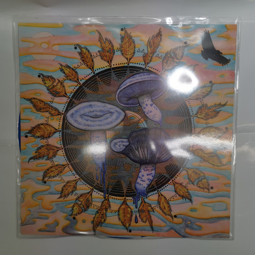 IMG 20230406 155109.jpg